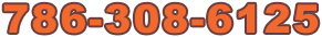 786-308-6125